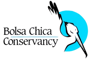 Bolsa Chica Conservancy